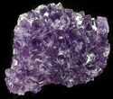 Deep Purple Amethyst Cluster - Uruguay #58135-2